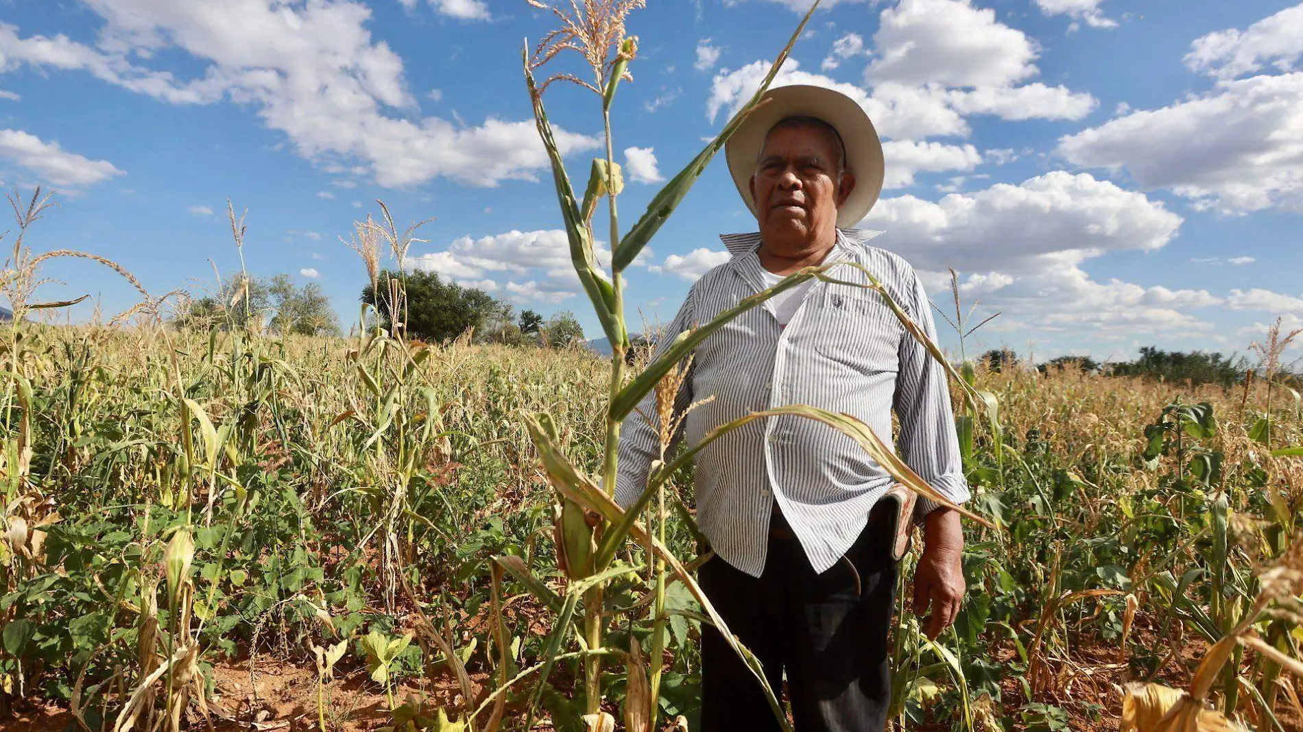 949431_Sin Maíz en Oaxaca-4_web